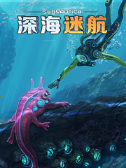 有什么便宜的休闲鞋